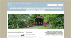 Desktop Screenshot of ccsuonline.org